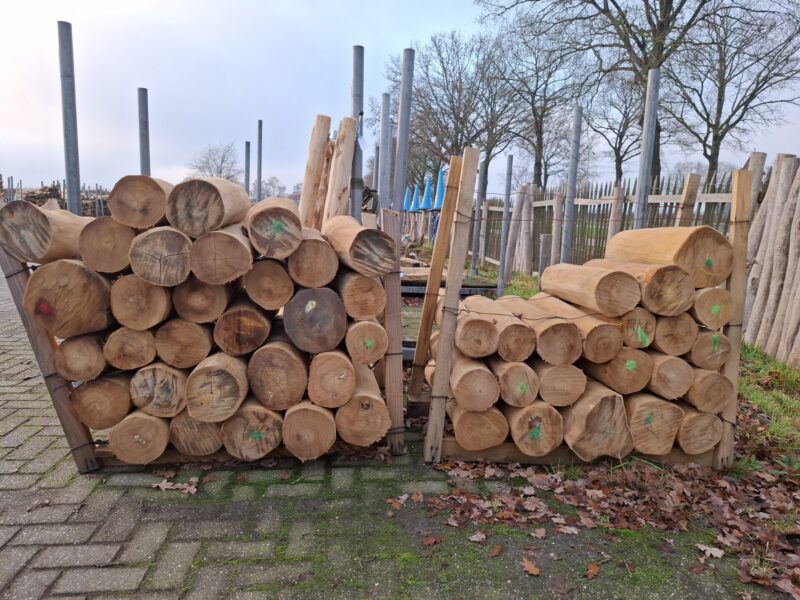 Robinia sokkels, tussen de 60 & 70 cm hoog.