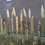 Kastanje paal 250 cm lang, diameter 10-12 cm, gepunt, kastanje paal 200 cm lang, diameter 10-12 cm, gepunt en kastanje paal 175 cm lang, diameter 10-12 cm, gepunt