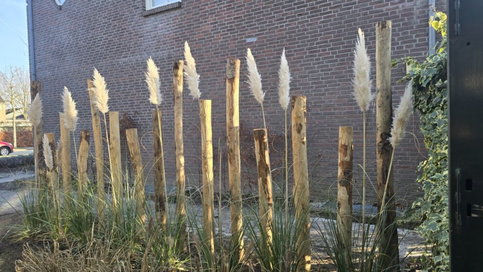 Kastanje paal 250 cm lang, diameter 10-12 cm, gepunt, kastanje paal 200 cm lang, diameter 10-12 cm, gepunt en kastanje paal 175 cm lang, diameter 10-12 cm, gepunt