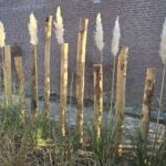 Kastanje paal 250 cm lang, diameter 10-12 cm, gepunt, kastanje paal 200 cm lang, diameter 10-12 cm, gepunt en kastanje paal 175 cm lang, diameter 10-12 cm, gepunt