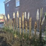 Kastanje paal 250 cm lang, diameter 10-12 cm, gepunt, kastanje paal 200 cm lang, diameter 10-12 cm, gepunt en kastanje paal 175 cm lang, diameter 10-12 cm, gepunt