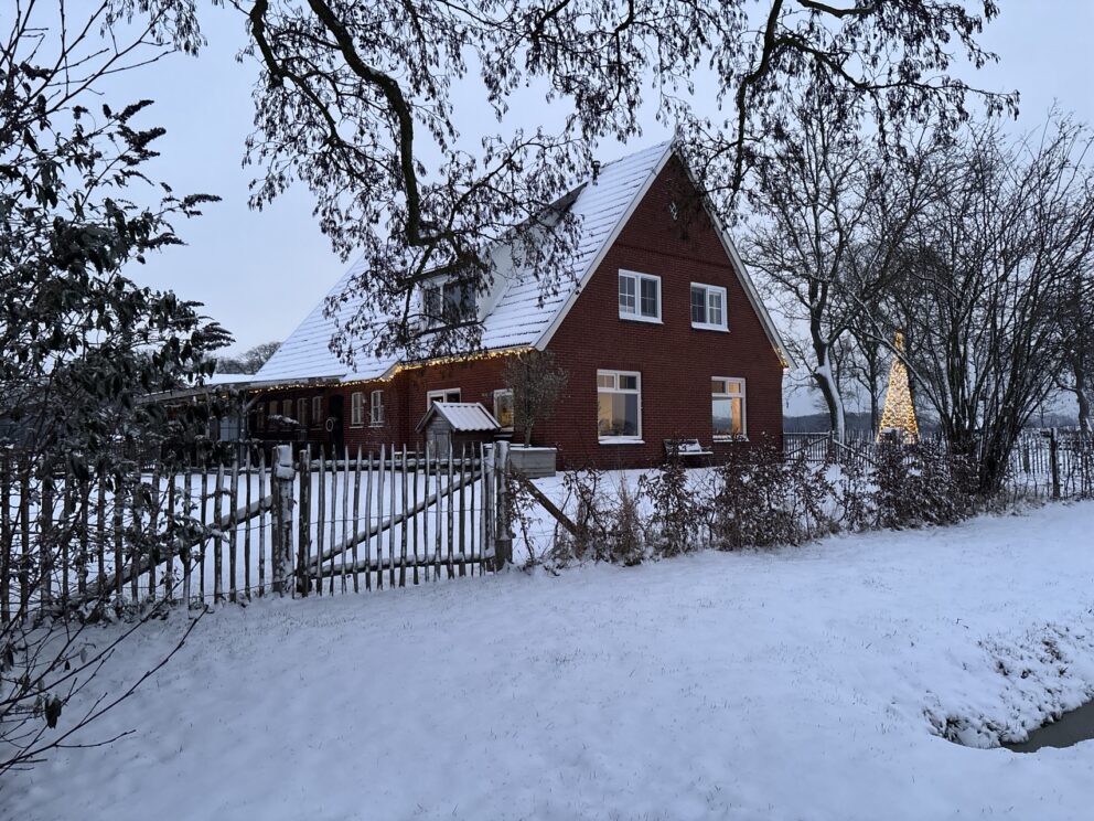 Sneeuw foto's met drone