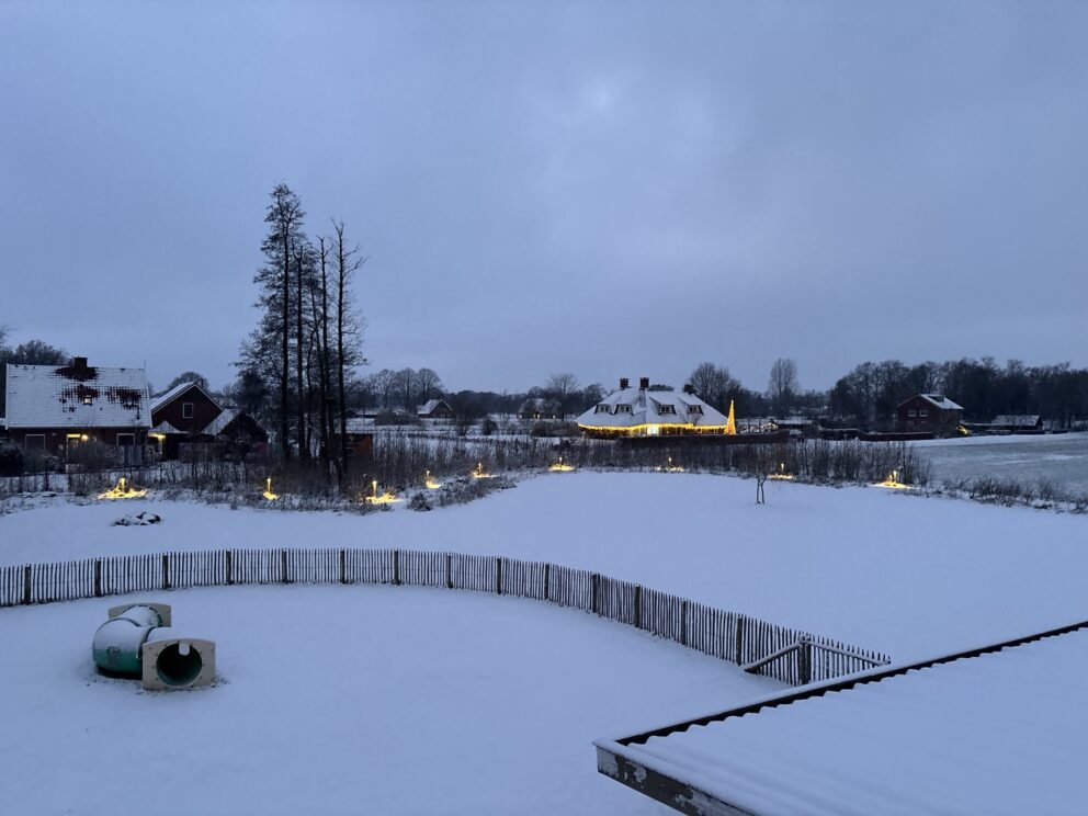 Sneeuw foto's met drone