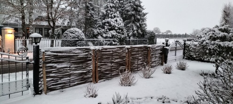 Hazelaar scherm Somme 3, 180Bx115H en kastanje paal 175 cm lang, diam. 7-9 cm, gepunt, met sneeuw