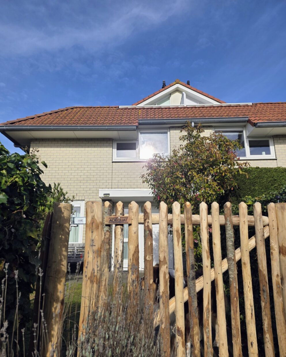 Schapenhek poort kastanje enkel, 120B x 100H (cm), linksdraaiend