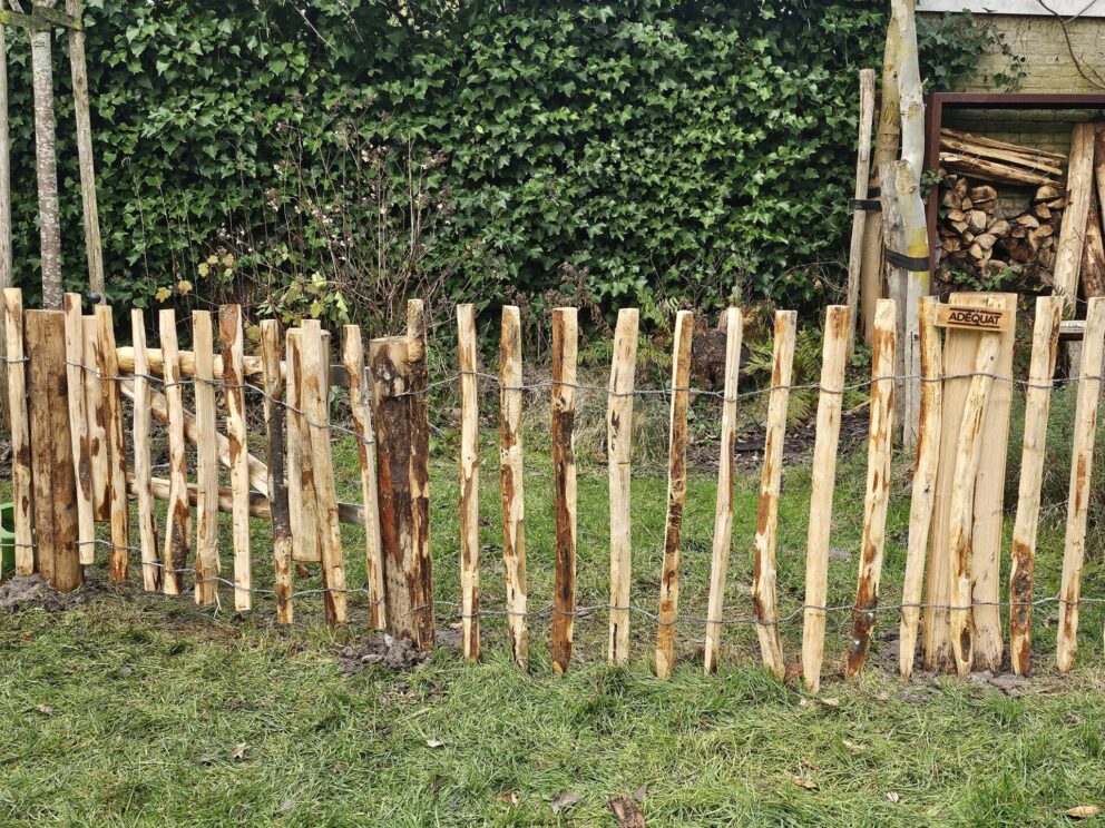 Frans schapenhek kastanje 80 cm hoog, latafstand 6 cm, 10 meter rol en raamwerkpoort kastanje enkel, 80 cm breed, 50 cm hoog, rechtsdraaiend