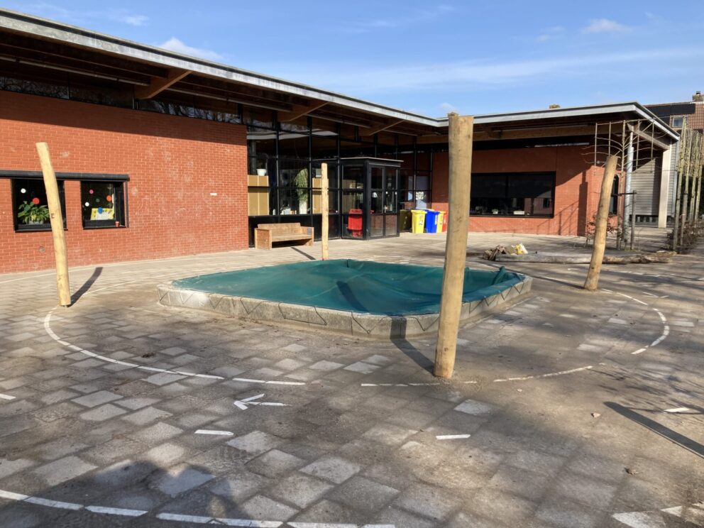 Robinia paal 300 cm lang, diam. 13-15 cm, geschuurd