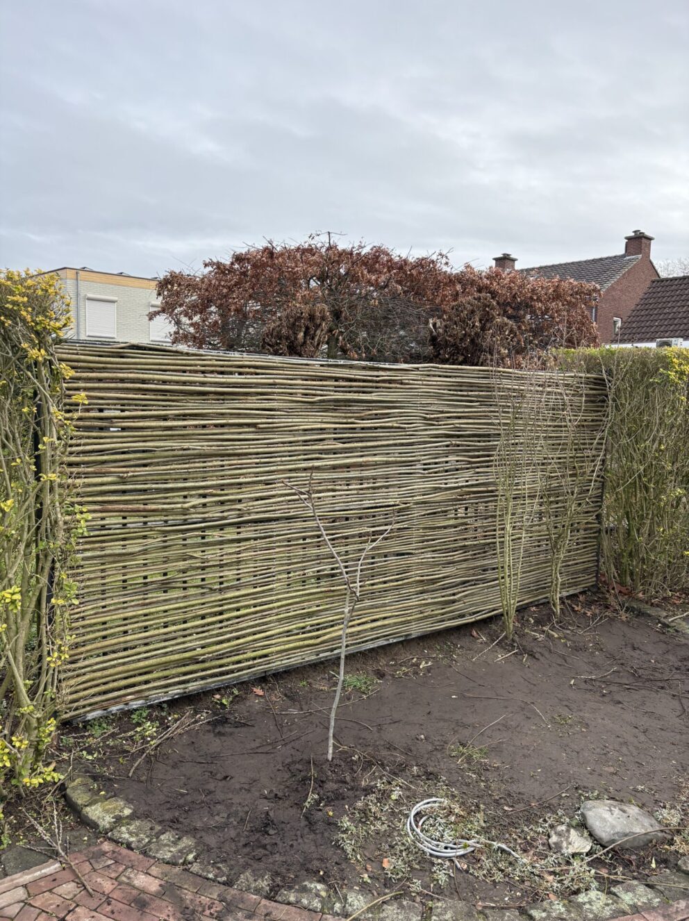 Wilgentenen per bos (18 - 20 tenen) en Kastanje paal 150/160 cm lang, diam. 10-12 cm, gepunt