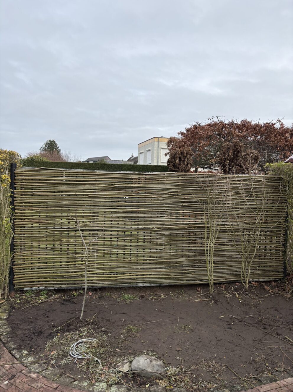 Wilgentenen per bos (18 - 20 tenen) en Kastanje paal 150/160 cm lang, diam. 10-12 cm, gepunt