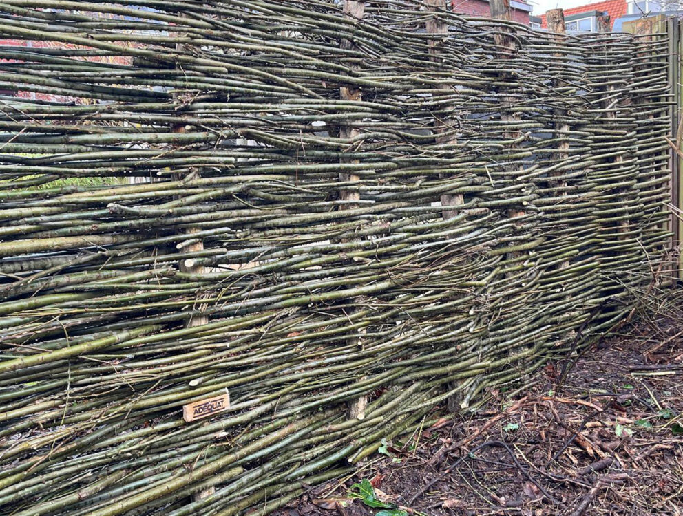 Robinia paal 250 cm lang, diam. 6-8 cm geschild gepunt en wilgentenen per bos (18-20 tenen)