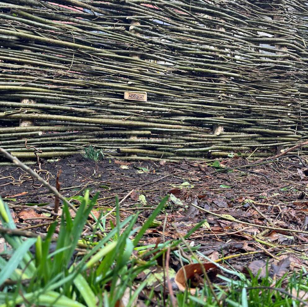 Robinia paal 250 cm lang, diam. 6-8 cm geschild gepunt en wilgentenen per bos (18-20 tenen)