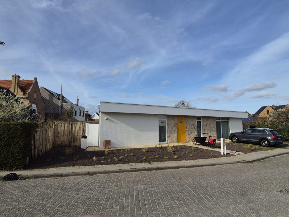 Frans schapenhek kastanje 200 cm hoog, latafstand 2 cm, kastanje paal 300 cm lang, diameter 7/9 cm, gepunt en kastanje paal 300 cm lang, diameter 10/12 cm, gepunt