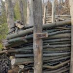 Robinia paal 160 cm lang, diameter 8/10 cm, takkenril