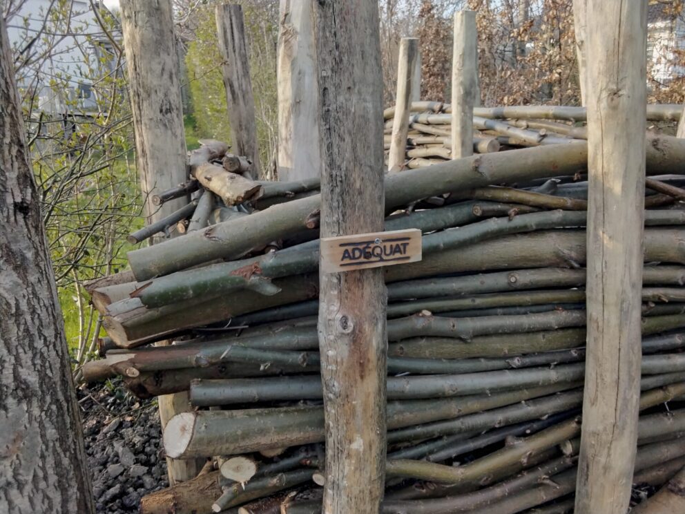 Robinia paal 160 cm lang, diameter 8/10 cm, takkenril