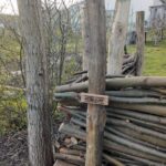 Robinia paal 160 cm lang, diameter 8/10 cm, takkenril