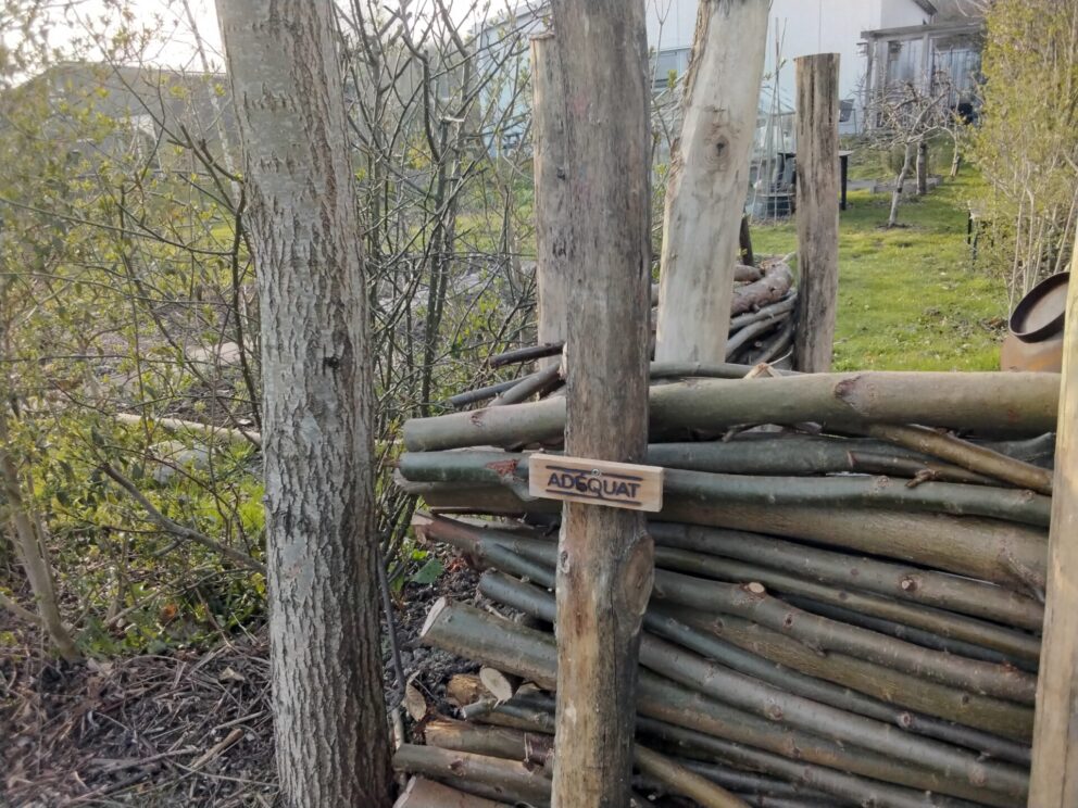 Robinia paal 160 cm lang, diameter 8/10 cm, takkenril