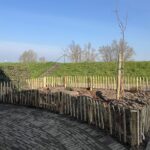 Frans schapenhek kastanje 50 cm hoog, latafstand 6 cm, 10m rol, kastanje paal 120 cm lang, diameter 7/9 cm, gepunt, kastanje paal 150/160 cm lang, diameter 10/12 cm, gepunt en raamwerkpoort kastanje enkel 80B x 50H (cm), rechtsdraaiend, kruidentuin