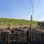 Frans schapenhek kastanje 50 cm hoog, latafstand 6 cm, 10m rol, kastanje paal 120 cm lang, diameter 7/9 cm, gepunt, kastanje paal 150/160 cm lang, diameter 10/12 cm, gepunt en raamwerkpoort kastanje enkel 80B x 50H (cm), rechtsdraaiend, kruidentuin