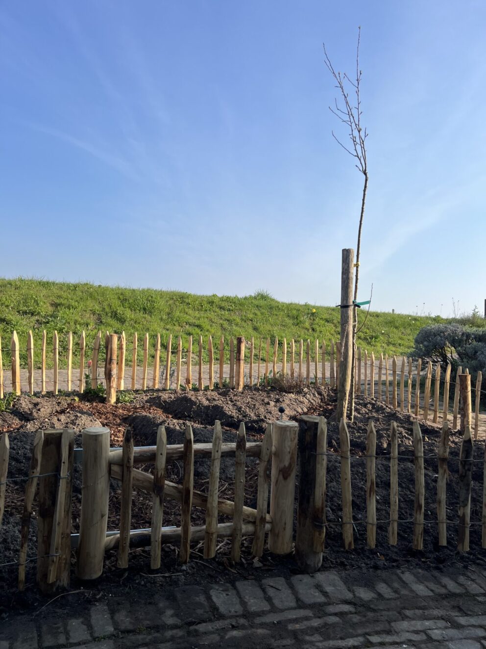 Frans schapenhek kastanje 50 cm hoog, latafstand 6 cm, 10m rol, kastanje paal 120 cm lang, diameter 7/9 cm, gepunt, kastanje paal 150/160 cm lang, diameter 10/12 cm, gepunt en raamwerkpoort kastanje enkel 80B x 50H (cm), rechtsdraaiend, kruidentuin