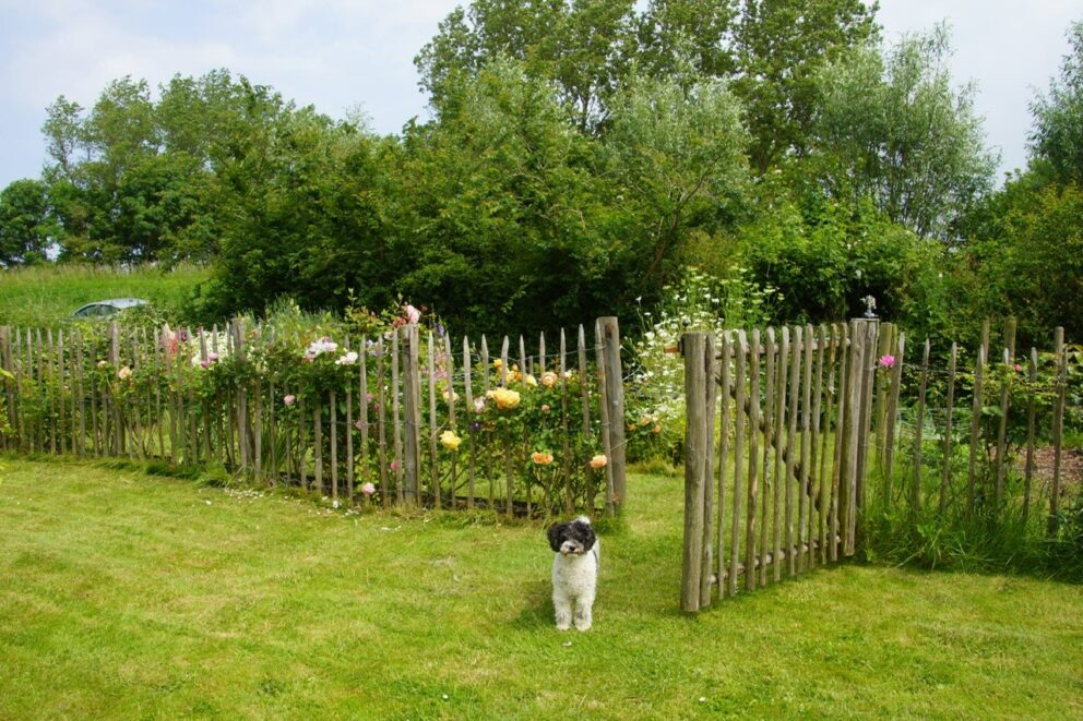Frans schapenhek kastanje en Franse rondhoutpoort, tuin van Lisette en Bert