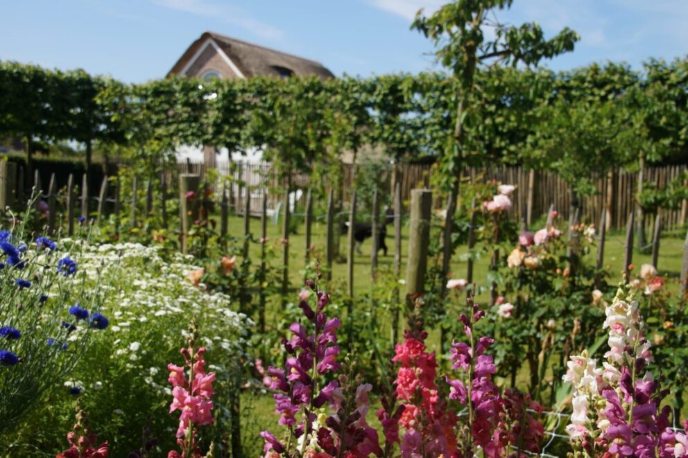 Tuin van Lisette en Bert