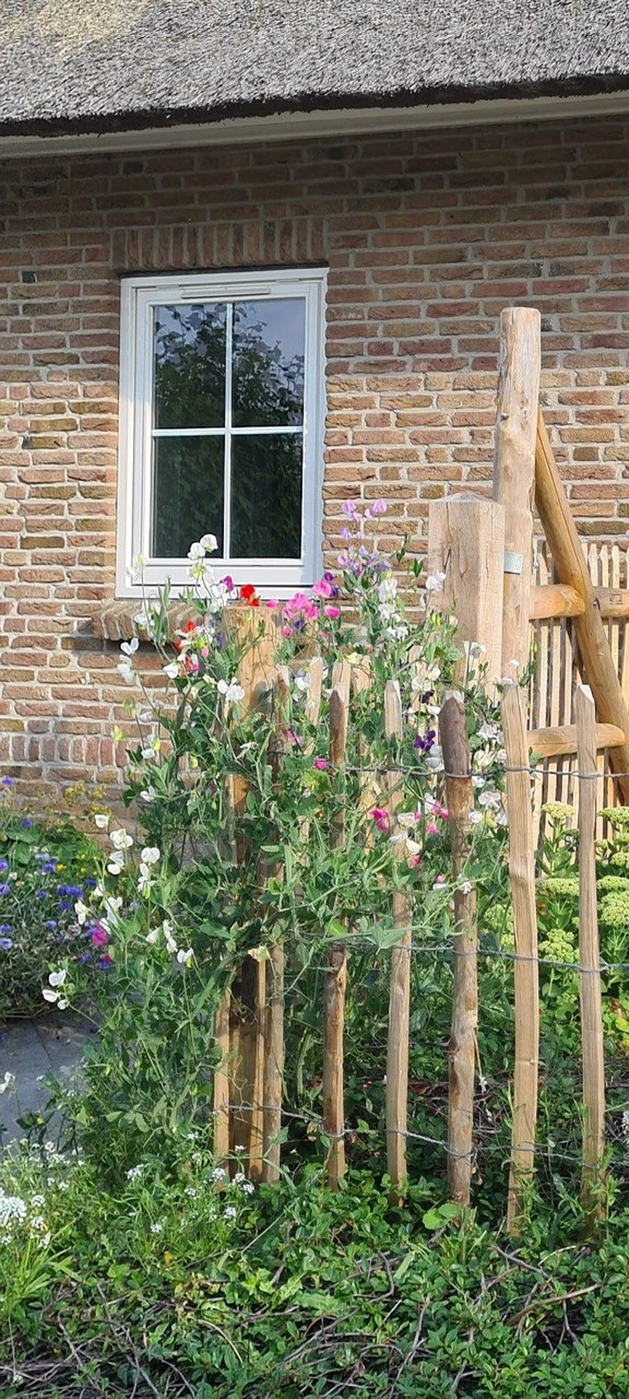 Frans schapenhek 100 cm hoog, latafstand 10 cm, tuin van Lisette en Bert