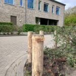 Robinia paal 160 cm lang, diameter 12/14 cm, geschild en gepunt