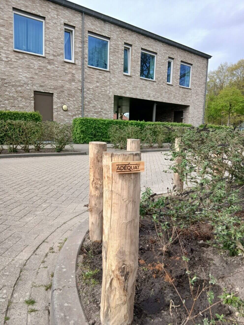 Robinia paal 160 cm lang, diameter 12/14 cm, geschild en gepunt