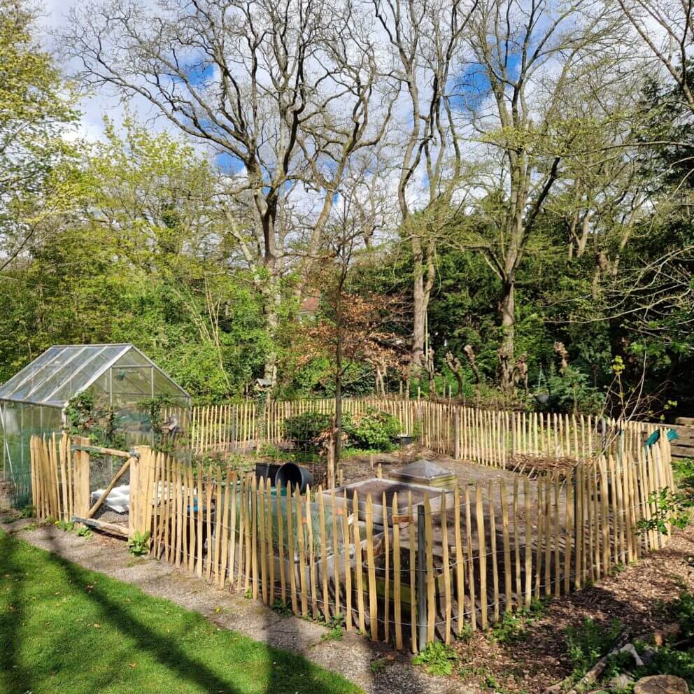 Moestuinomheining van kastanje schapenhek