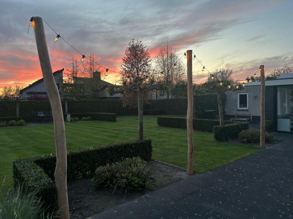 Robinia palen voor lichtdecoratie