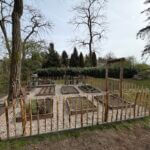 Frans schapenhek kastanje 80 cm hoog, latafstand 10 cm, 10 meter rol, kastanje paal 120 cm lang, diameter 7/9 cm, gepunt en RVS schroeven 4,5 x 60, 100 stuks inclusief bitje