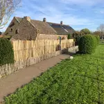 Frans schapenhek kastanje 150 cm hoog, latafstand 4 cm, 2x5 meter rol