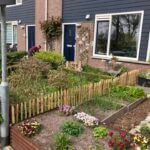 Frans schapenhek kastanje 50 cm hoog, latafstand 4 cm, kastanje paal 100 cm lang, diameter 7/9 cm, gepunt en schapenhek poort kastanje enkel, 80B x 50H (cm)