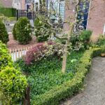 Frans schapenhek kastanje 50 cm hoog, latafstand 4 cm, kastanje paal 100 cm lang, diameter 7/9 cm, gepunt en schapenhek poort kastanje enkel, 80B x 50H (cm)