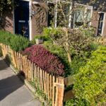 Frans schapenhek kastanje 50 cm hoog, latafstand 4 cm, kastanje paal 100 cm lang, diameter 7/9 cm, gepunt en schapenhek poort kastanje enkel, 80B x 50H (cm)