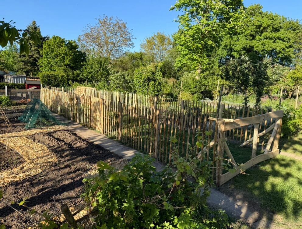 Frans schapenhek kastanje 120 cm hoog, latafstand 10 cm, 10 meter rol, schapenhek poort kastanje enkel, 100B x 120H (cm) en robinia schaaldeel geschuurd, 2,5 x 15/22 x 250, kippenren
