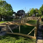 Frans schapenhek kastanje 120 cm hoog, latafstand 10 cm, 10 meter rol, schapenhek poort kastanje enkel, 100B x 120H (cm) en robinia schaaldeel geschuurd, 2,5 x 15/22 x 250, kippenren