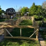 Frans schapenhek kastanje 120 cm hoog, latafstand 10 cm, 10 meter rol, schapenhek poort kastanje enkel, 100B x 120H (cm) en robinia schaaldeel geschuurd, 2,5 x 15/22 x 250, kippenren