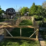 Frans schapenhek kastanje 120 cm hoog, latafstand 10 cm, 10 meter rol, schapenhek poort kastanje enkel, 100B x 120H (cm) en robinia schaaldeel geschuurd, 2,5 x 15/22 x 250, kippenren