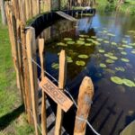 Frans schapenhek kastanje 80 hoog, latafstand 10 cm, 10m rol en schapenhek poort kastanje enkel 100 breed x 80 hoog (cm), rechtsdraaiend, vijver