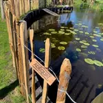 Frans schapenhek kastanje 80 hoog, latafstand 10 cm, 10m rol en schapenhek poort kastanje enkel 100 breed x 80 hoog (cm), rechtsdraaiend, vijver