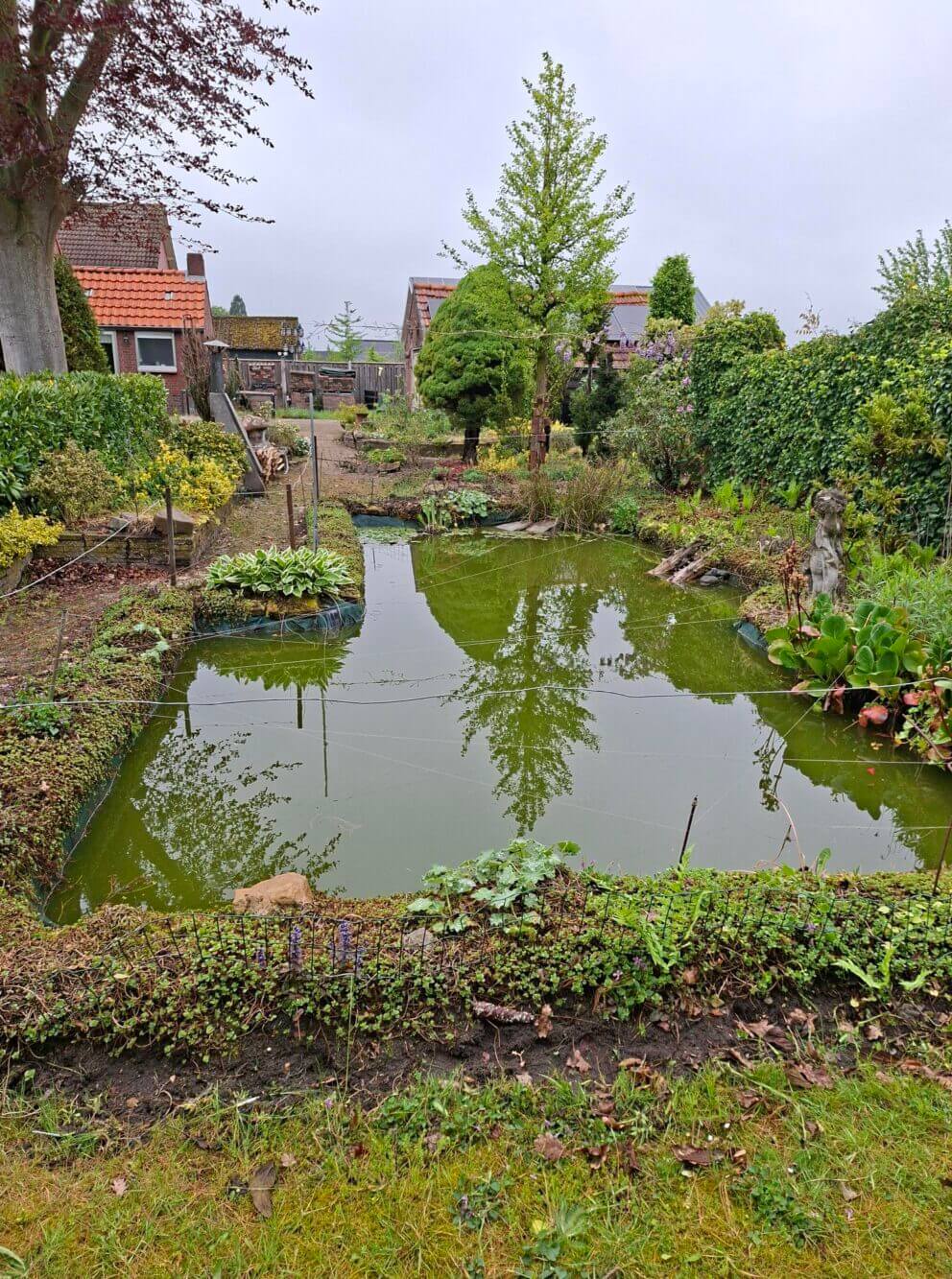 Vijver before