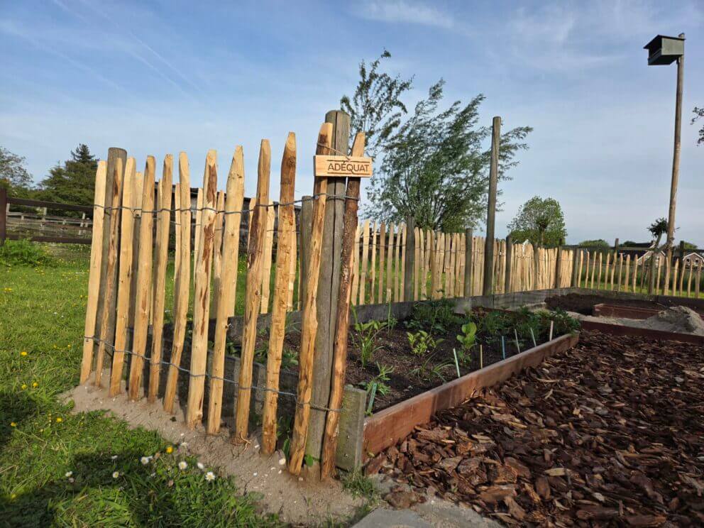 Mooie pluktuin met schapenhek