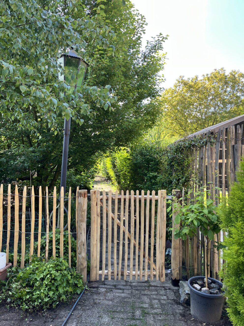Schapenhek poort kastanje enkel 100Bx120H (cm), rechtsdraaiend en kastanje paal 175 cm lang, diam. 7-9 cm gepunt