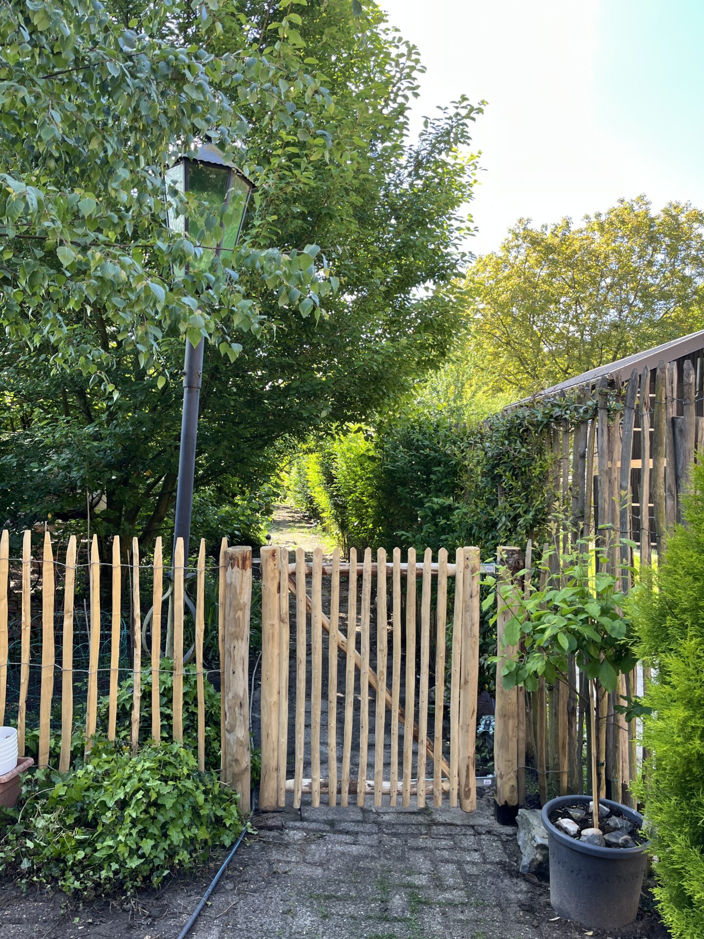 Schapenhek poort kastanje enkel 100Bx120H (cm), rechtsdraaiend en kastanje paal 175 cm lang, diam. 7-9 cm gepunt