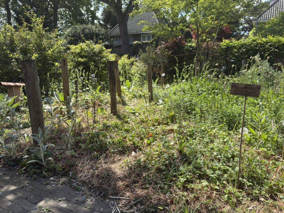 Kastanje paal 120 cm lang, diam. 7-9 cm, gepunt, heemtuin