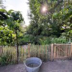 Schapenhek Robinia geschuurd 100 hoog, latafstand 4 cm, Robinia paal 160 cm lang, diameter 8/10 cm, geschild en gepunt, robinia paal 180 cm lang, diameter 10/12 cm, geschild en gepunt, RVS schroeven 4,5 x 60, 100 stuks inclusief bitje, raamwerkpoort kastanje enkel 120 breed x 100 hoog (cm), rechtsdraaiend, raamwerkpoort kastanje 150 breed x 100 hoog (cm), rechtsdraaiend, raamwerkpoort kastanje enkel 100 x 100 cm, rechtsdraaiend en raamwerkpoort kastanje dubbel 120 breed x 100 hoog (cm), vijveromheining