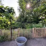 Schapenhek Robinia geschuurd 100 hoog, latafstand 4 cm, Robinia paal 160 cm lang, diameter 8/10 cm, geschild en gepunt, robinia paal 180 cm lang, diameter 10/12 cm, geschild en gepunt, RVS schroeven 4,5 x 60, 100 stuks inclusief bitje, raamwerkpoort kastanje enkel 120 breed x 100 hoog (cm), rechtsdraaiend, raamwerkpoort kastanje 150 breed x 100 hoog (cm), rechtsdraaiend, raamwerkpoort kastanje enkel 100 x 100 cm, rechtsdraaiend en raamwerkpoort kastanje dubbel 120 breed x 100 hoog (cm), vijveromheining