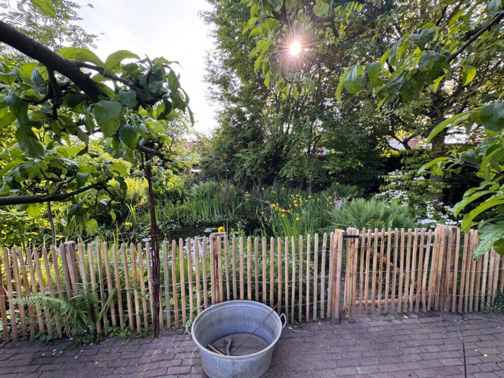 Schapenhek Robinia geschuurd 100 hoog, latafstand 4 cm, Robinia paal 160 cm lang, diameter 8/10 cm, geschild en gepunt, robinia paal 180 cm lang, diameter 10/12 cm, geschild en gepunt, RVS schroeven 4,5 x 60, 100 stuks inclusief bitje, raamwerkpoort kastanje enkel 120 breed x 100 hoog (cm), rechtsdraaiend, raamwerkpoort kastanje 150 breed x 100 hoog (cm), rechtsdraaiend, raamwerkpoort kastanje enkel 100 x 100 cm, rechtsdraaiend en raamwerkpoort kastanje dubbel 120 breed x 100 hoog (cm), vijveromheining