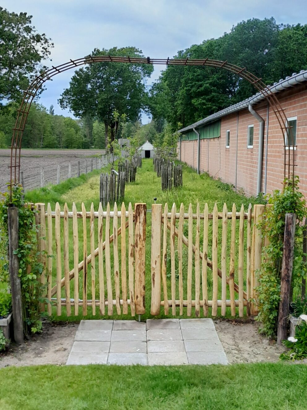 Raamwerkpoort kastanje dubbel 100Bx100H (cm) en Frans schapenhek kastanje 100 hoog, latafstand 10 cm, 10m rol, geitenweide
